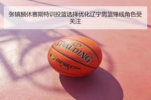 张镇麟休赛期特训投篮选择优化辽宁男篮锋线角色受关注